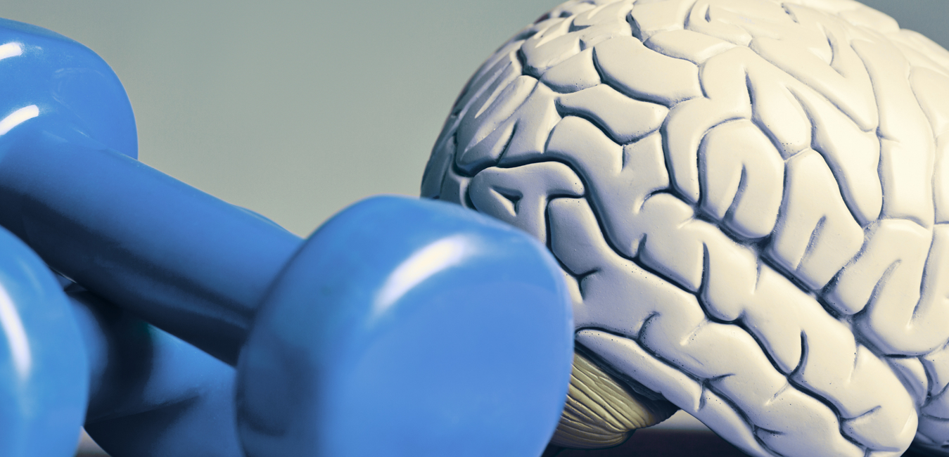 Train Your Brain to Win: How FITLIGHT® Reaction Light Training Elevates Sports Performance